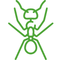 ANT-CONTROL ICON