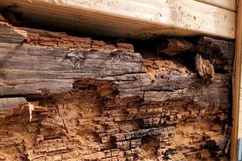DRY ROT REPAIR