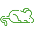 RODENT-CONTROL-ICON