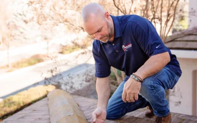 What might be hiding in your attic?