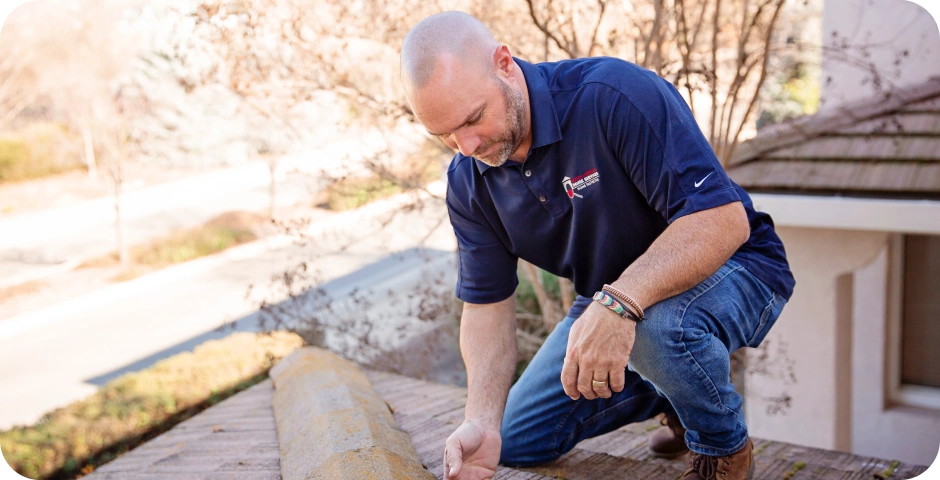 What might be hiding in your attic?