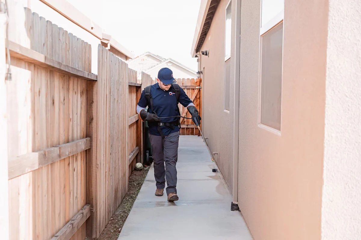 <br />
Reliable Pest Solutions